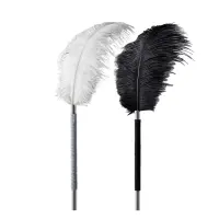 Roomfun's Luxurious Ostrich Feather Tickler