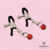 Sexy Secret’s Aluminium Nipple Clamps Set - Image 20