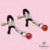 Sexy Secret’s Aluminium Nipple Clamps Set - Image 21
