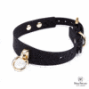 Roomfun’s Premium Silicone Neck Collar and Leash - Image 4