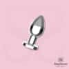 Sexy Secret’s 10-Function Metal Remote-Controlled Vibrating Butt Plug - Image 6