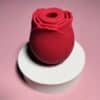 Sexy Secret's Vibrator Gift Set - Image 14